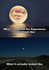 What I imagined the Supermoon would look like and What is actually looked like 