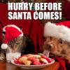 Hurry before Santa comes! 