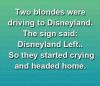 Two blondes were driving to Disneyland...