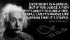 Albert Einstein - Everybody is a genius, but if you judge a fish...