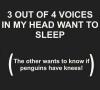 3 Out Of 4 Voices In My Head Want To Sleep