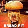 Funny Bread Pit Dog 