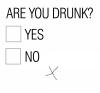 Are you drunk? Check Yes or No.