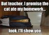 But teacher, I prommise the cat ate my homework!