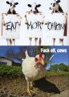 Eat more chicken...fu** off, cows