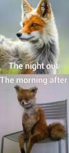 The night out and morning after