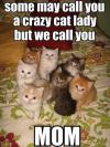 Some May Call you a Crazy Cat Lady...