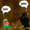 Goth vs Hippie