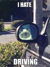 Grumpy Cat Hates Driving