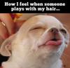 How I feel when someone plays with my hair