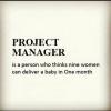 Definition of Project Manager