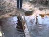 Old Man And His Cat Try Crossing A River. The Cat’s Reaction Takes The Cake