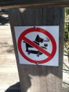 This must be the coolest dog ever not allowed here...