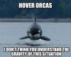 Hover Orcas