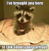 Raccoon - I've brought you here to talk about your garbage..