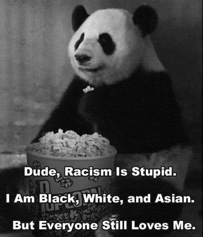 Dude, racism is stupid. I am black, white, and Asian. But everyone still loves me.