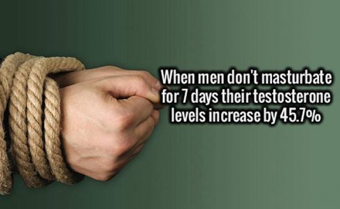 When men don't masturbate for 7 days their testosterone levels...